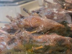 -王浩儿纪六孃甜皮鸭(乐山总店)