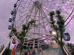 -花博汇(知音花月夜)