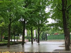 入口-上海南站-停车场