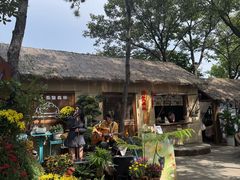 -沂蒙山旅游区云蒙景区(蒙山国家森林公园)