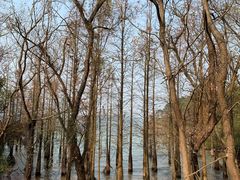 -天目湖涵田半山温泉