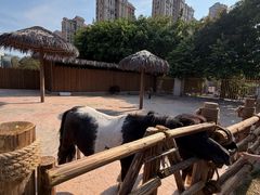 -福州罗源湾海洋世界旅游区