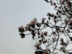 -微软亚太研发集团大厦(微软总部)