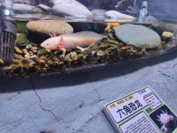 -Zoolung Zoolung动物主题公园(海信广场店)