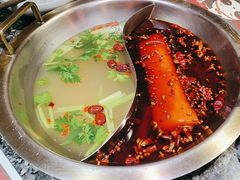 -蜀大侠火锅(森兰花园城店)