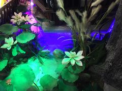 -韵秋荷(宝山龙湖天街店)