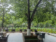 -北京民族园葉子里酒店(鸟巢店)