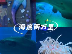 -大阪海游馆
