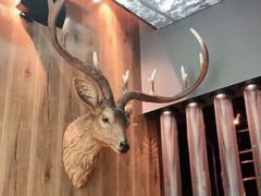 -haxnbauer海森堡德国餐厅(深圳coco店)