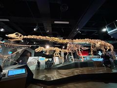 -墨尔本博物馆(Melbourne Museum)