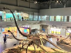 -自贡恐龙博物馆