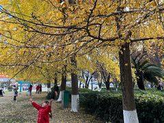 -绵阳人民公园(涪城区)
