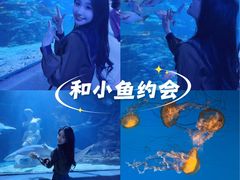 -太平洋海底世界