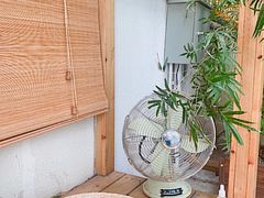 -椿风·养身茶饮(吉大店)