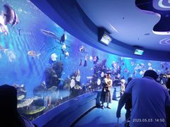 -石林冰雪海洋世界