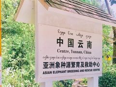 -野象谷景区