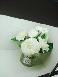 -美肤盾祛痘·问题肌头疗管理中心