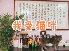 -我爱猫咪·猫咖·狗咖·安哥拉兔·羊驼咖(小寨华旗店)