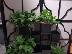 -老廣糖水铺(乐汇城店)