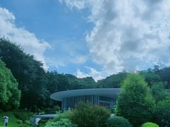 -云溪植物园