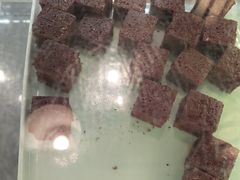 -白天鹅宾馆·流浮阁咖啡厅