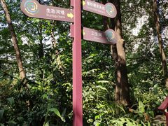 -成都市活水公园