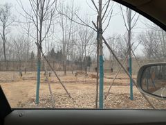 -秦皇岛野生动物园