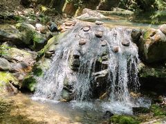 -牛背梁国家森林公园