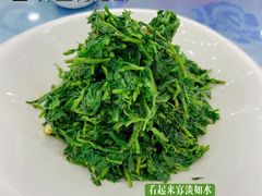 养生枸杞苗-老毛手抓·盐池滩羊非遗手抓(宁夏总店)