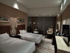 -电谷雅阁国际大酒店