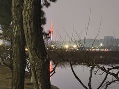 -月湖风景区