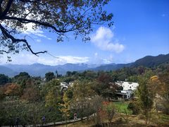 -塔川景区
