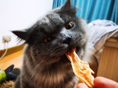 -旺角小渔村(幸福中路店)