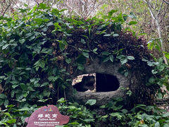 -呀诺达热带雨林