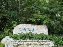 -成都市活水公园