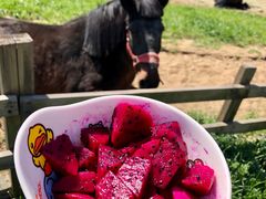 -田园东方蜜桃村的田野营地