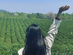 -敬亭山风景名胜区