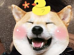 -庄子梦然·城市微度假·休闲·推拿·spa