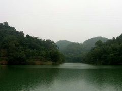 -中山市树木园