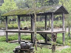 -中国大熊猫保护研究中心雅安碧峰峡基地
