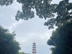 -江心屿景区