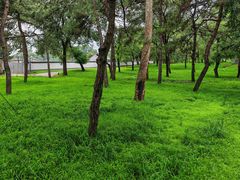 -承德避暑山庄景区