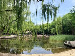 -玲珑塔公园