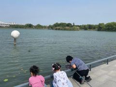 -澹台湖公园