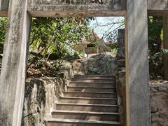 -小洲村