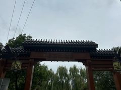 -胡家包子·清真(大众巷店)