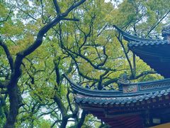 -普陀山慧济禅寺