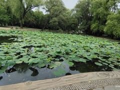 -北陵公园