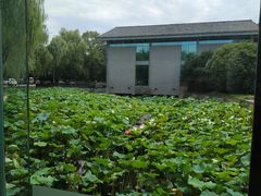 -善园自助餐厅(君澜·绍兴鉴湖大酒店)