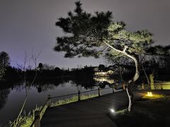 -新荣记(西溪湿地店)